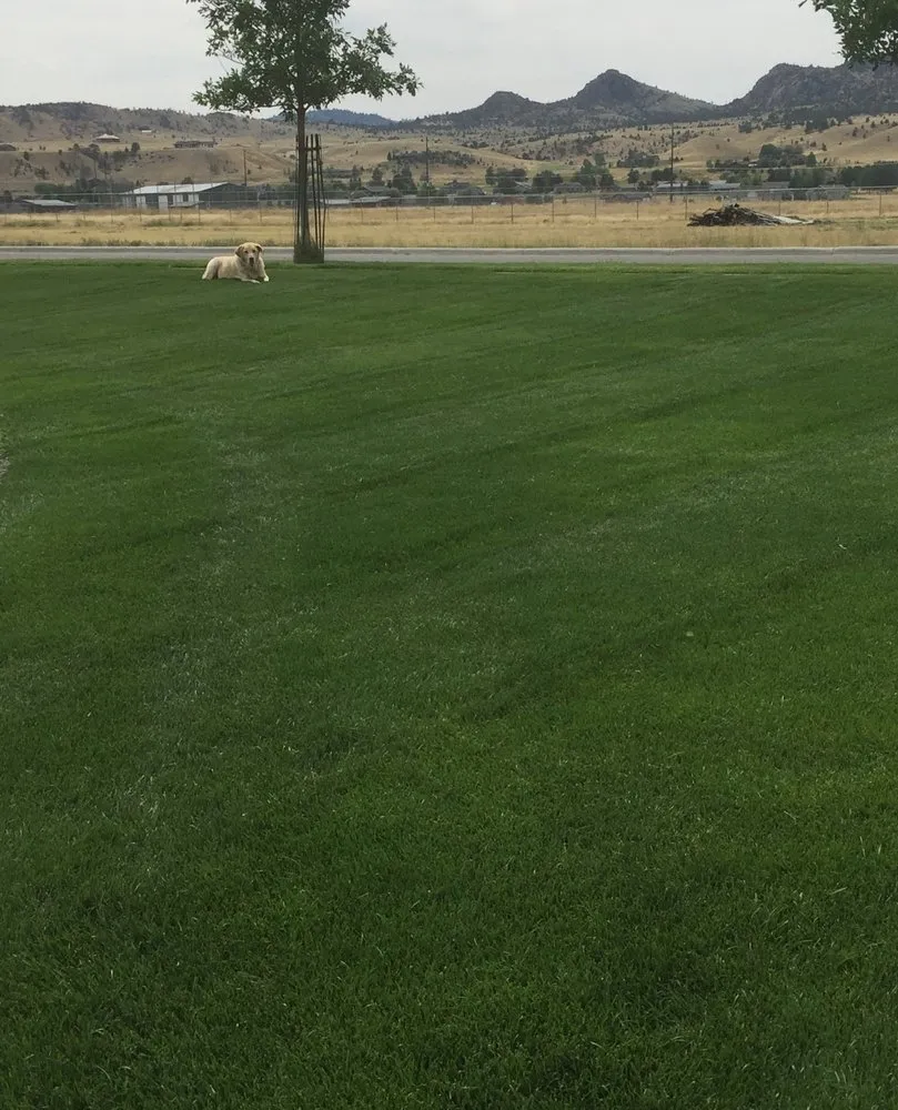 Affordable residential landscaping for homes in Ennis, MT by Ennis Lawn Care & Landscaping