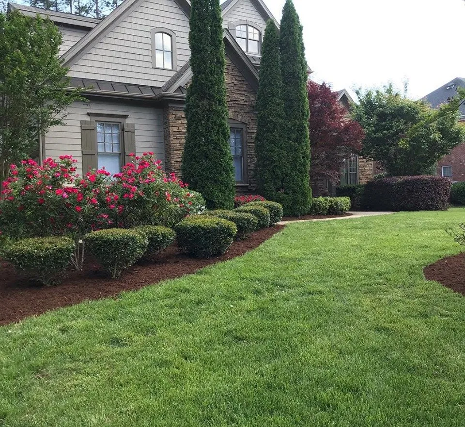 Affordable lawn mowing service in Mebane, NC by Eno Lawn Care
