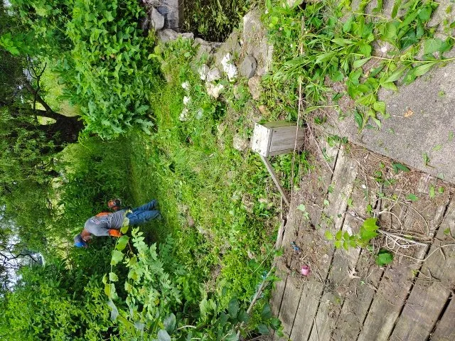 Local residential landscaping experts serving Quincy, IL - Enoch Lawn's and Snow Removal