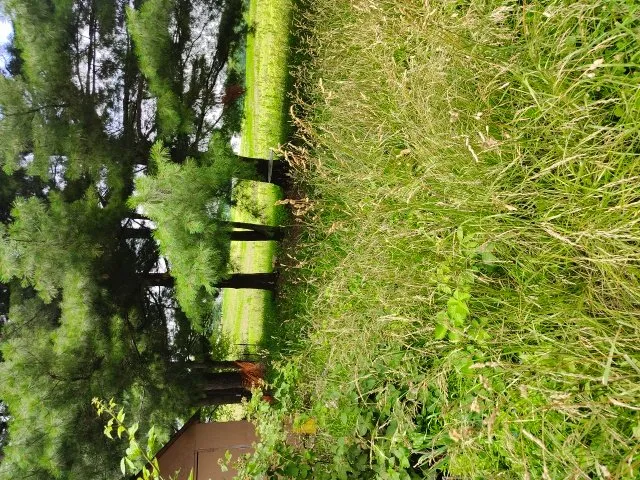 Top-rated residential landscaping experts serving Quincy, IL - Enoch Lawn's and Snow Removal