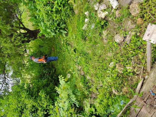 Top-rated lawn care service in Quincy, IL - Enoch Lawn's and Snow Removal