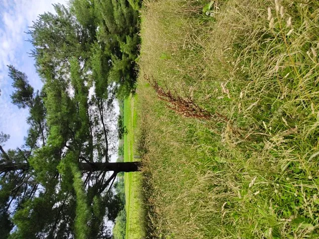 Professional garden landscaping in Quincy, IL by Enoch Lawn's and Snow Removal