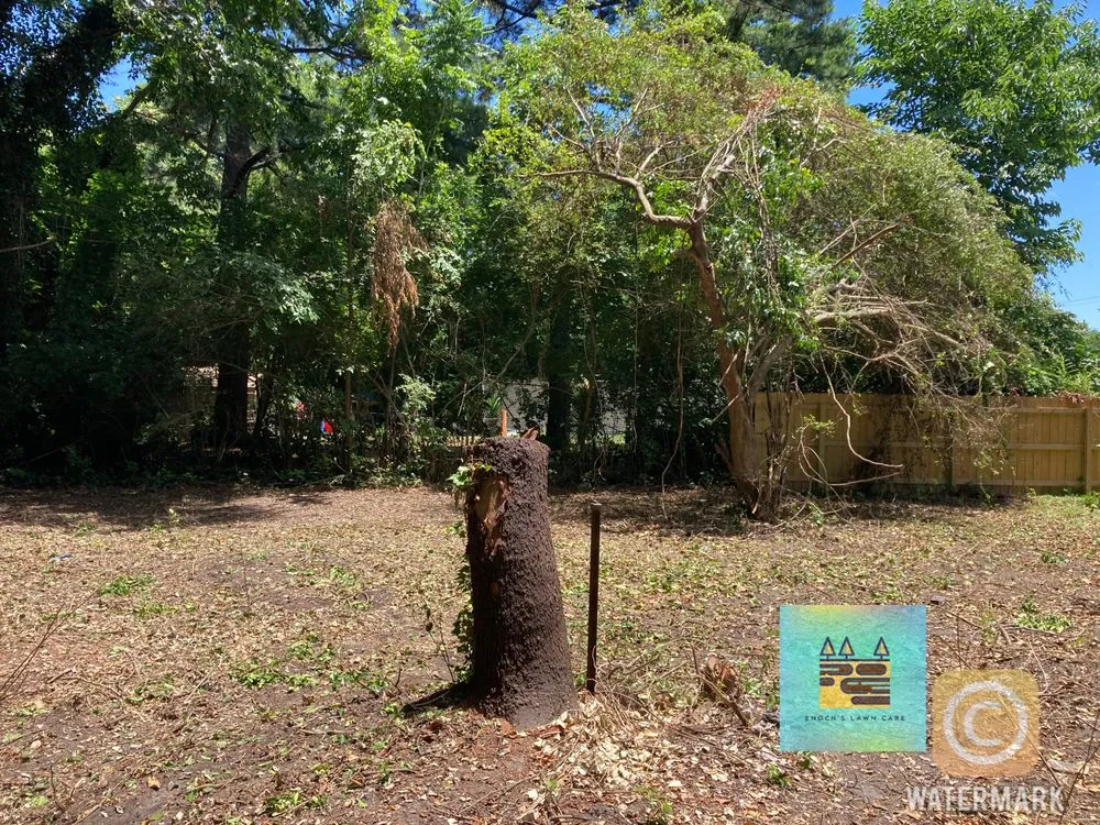 Reliable residential landscaping in Suffolk, VA by Enochs Lawncare Trees Concrete and Home Renovation Contractors