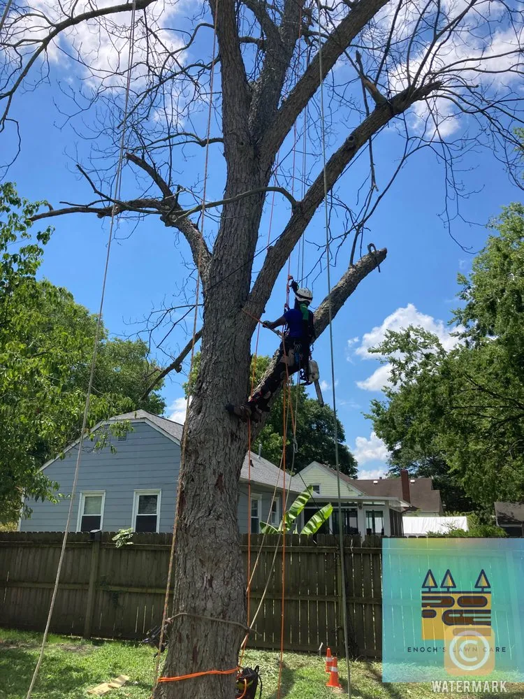 Local landscaping services in Suffolk, VA - Enochs Lawncare Trees Concrete and Home Renovation Contractors