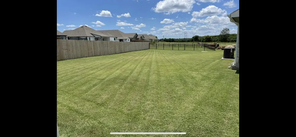 Local landscape installation in San Antonio, TX by Enriched landscaping