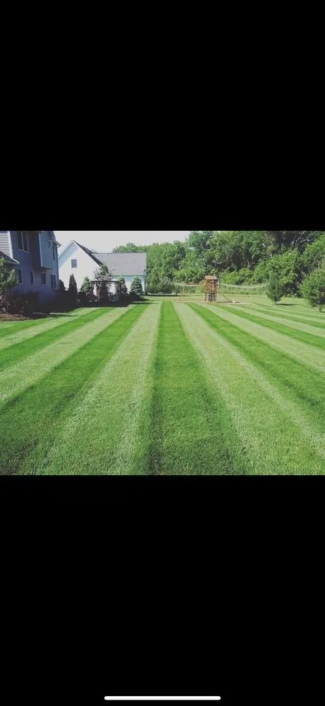 Local yard cleanup service for outdoor upgrades across Rochester, NY - Enright’s Property services