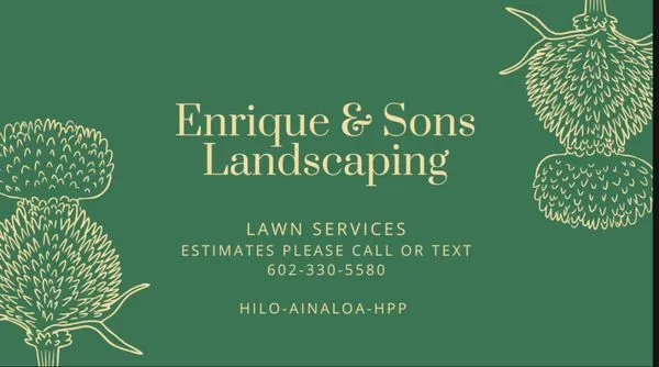 Enrique & Son’s Lawn service