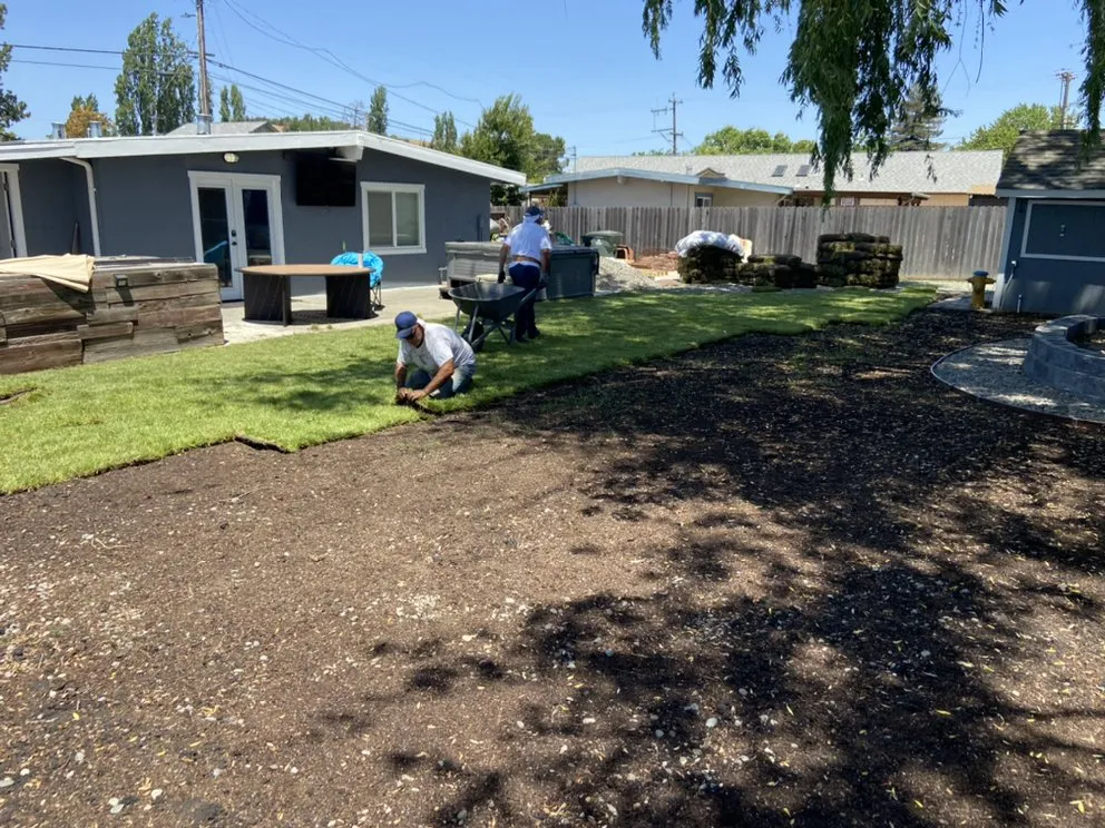 Trusted outdoor landscaping in American Canyon, CA by Enrique Gardening Maintenance
