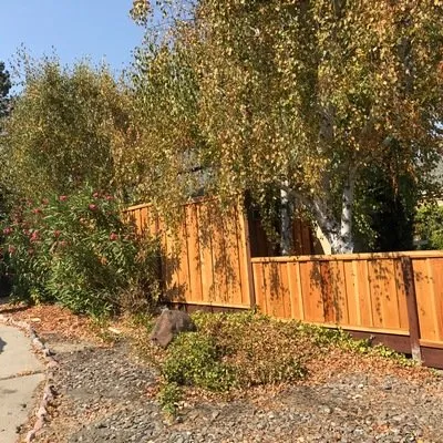 Affordable lawn care service in American Canyon, CA by Enrique Gardening Maintenance