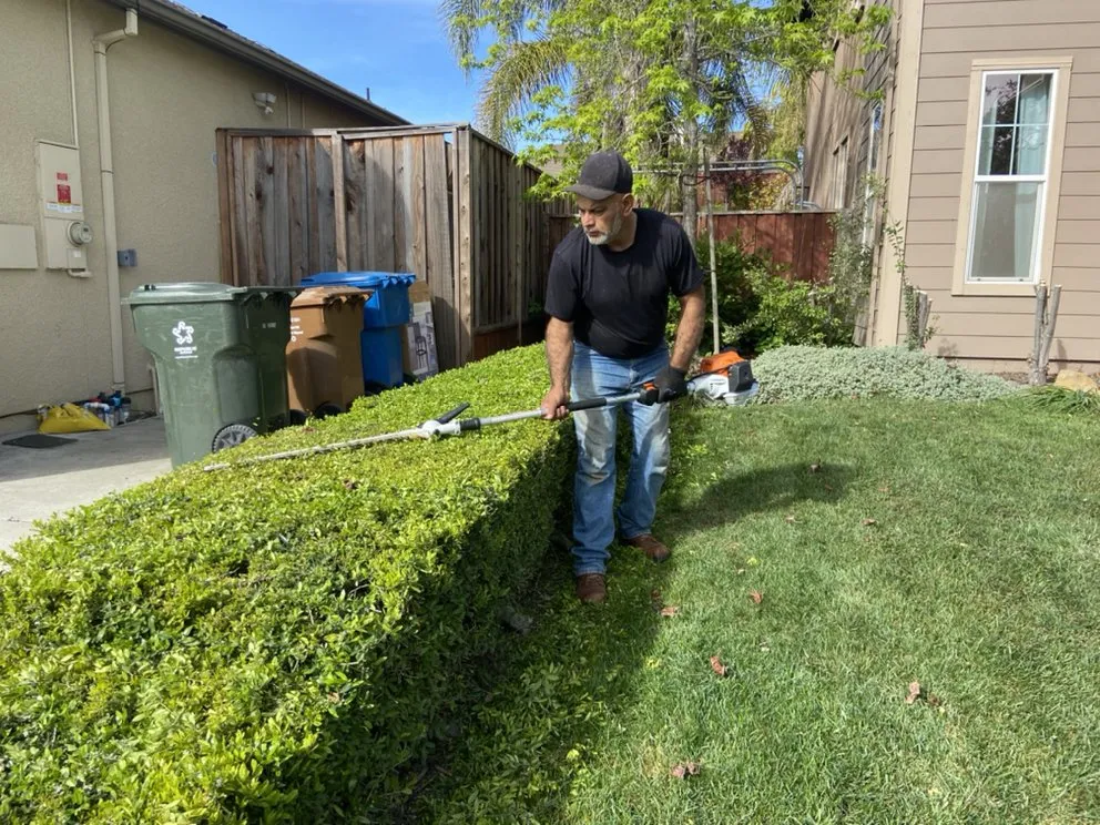 Custom yard cleanup service for residential properties in American Canyon, CA by Enrique Gardening Maintenance