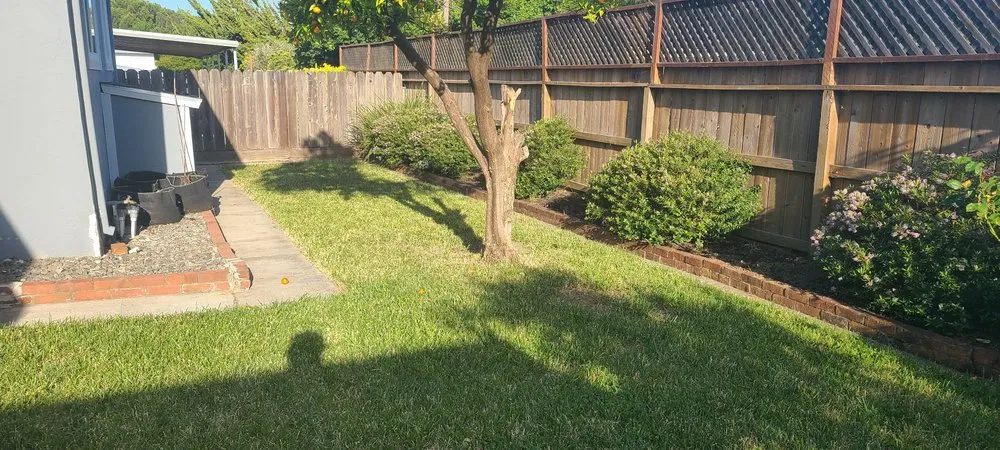 Local landscape installation in American Canyon, CA by Enrique Gardening Maintenance