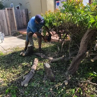 Affordable lawn care service in American Canyon, CA by Enrique Gardening Maintenance