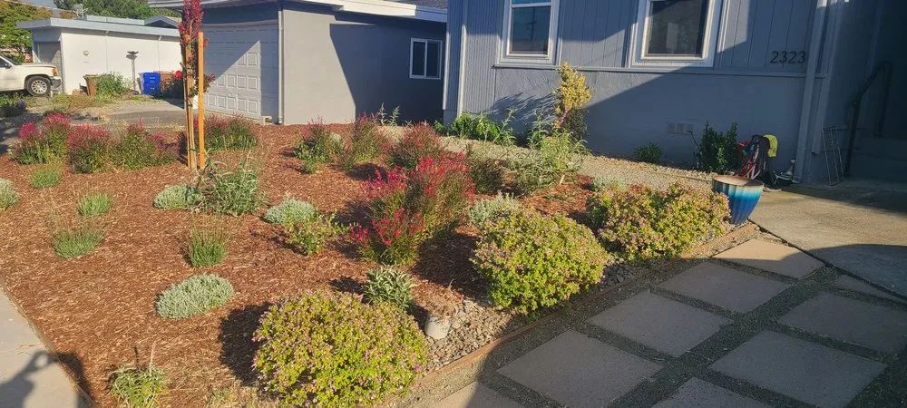 Local yard maintenance for homes in American Canyon, CA by Enrique Gardening Maintenance