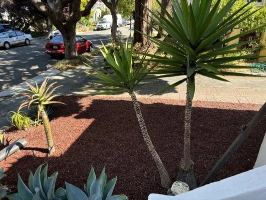 Enrique Gardening Maintenance Logo