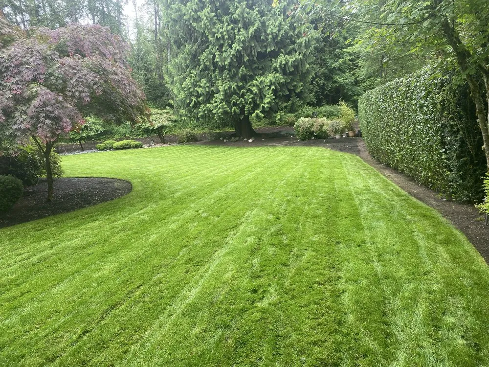 Reliable landscape installation in Maple Valley, WA by Enrique Gardens