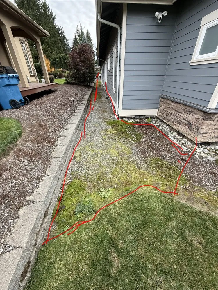 Local yard cleanup service in Maple Valley, WA by Enrique Gardens