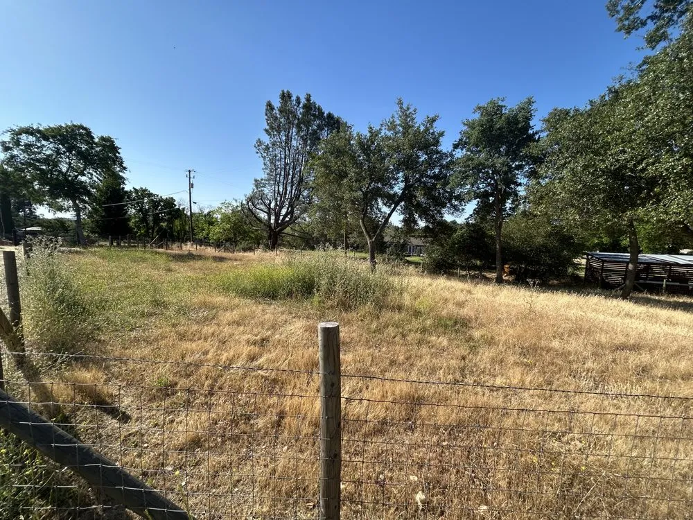 Reliable landscaping services experts serving Colfax, CA - Enriques Landscaping & More