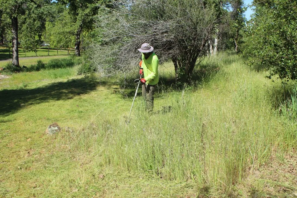 Trusted residential landscaping experts serving Colfax, CA - Enriques Landscaping & More