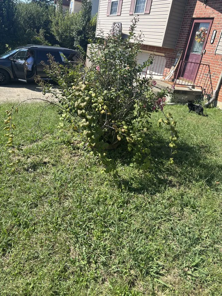 Custom yard cleanup service in Radcliff, KY - Enrique’s Landscaping