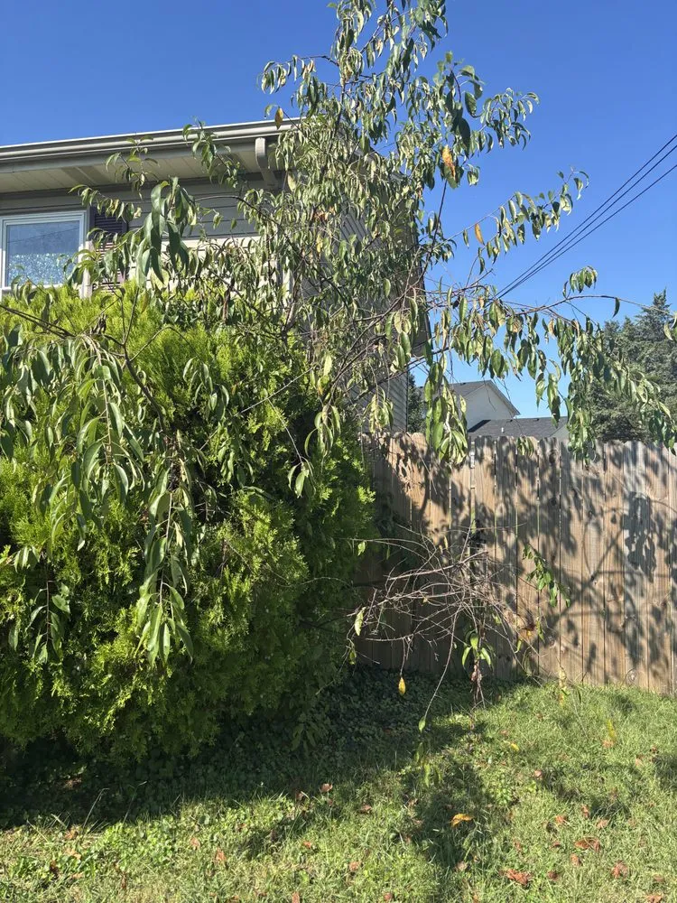 Professional lawn mowing service in Radcliff, KY by Enrique’s Landscaping