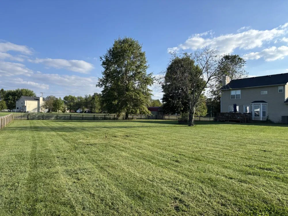 Custom landscape installation for beautiful yards across Radcliff, KY - Enrique’s Landscaping