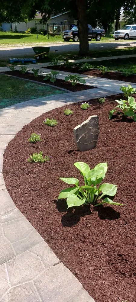 Reliable yard cleanup service for year-round maintenance across Champaign, IL - Enriquez C-U Services