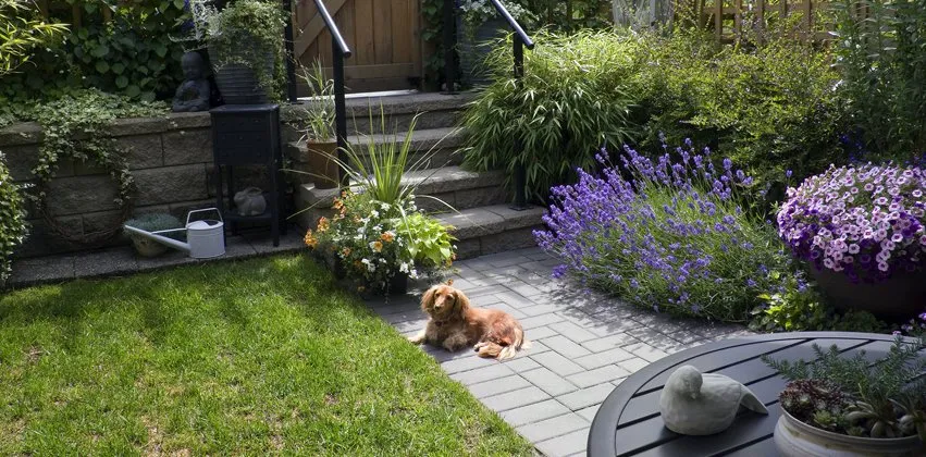 Professional landscape installation in Petaluma, CA by Enriquez Landscaping & Maintenance