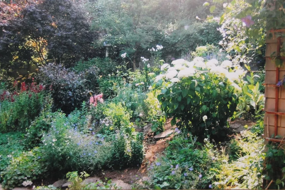 Top-rated landscape design in Petaluma, CA by Enriquez Landscaping & Maintenance