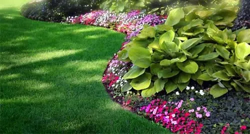 Professional outdoor landscaping with custom design in Petaluma, CA by Enriquez Landscaping & Maintenance
