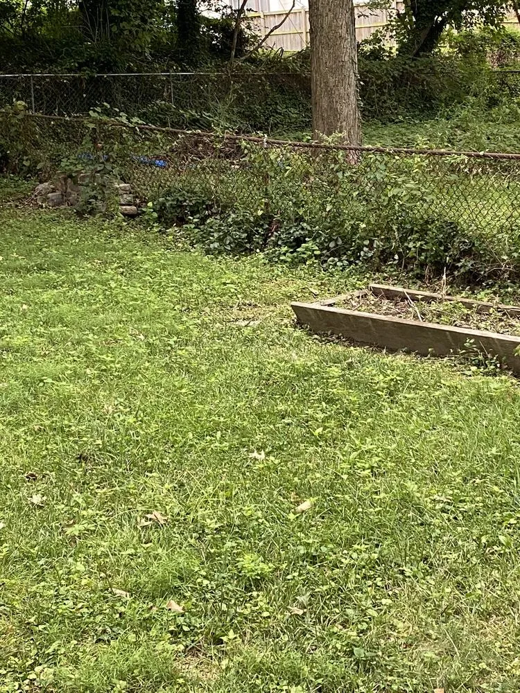 Custom landscape installation in Adelphi, MD by Enriquez Landscaping