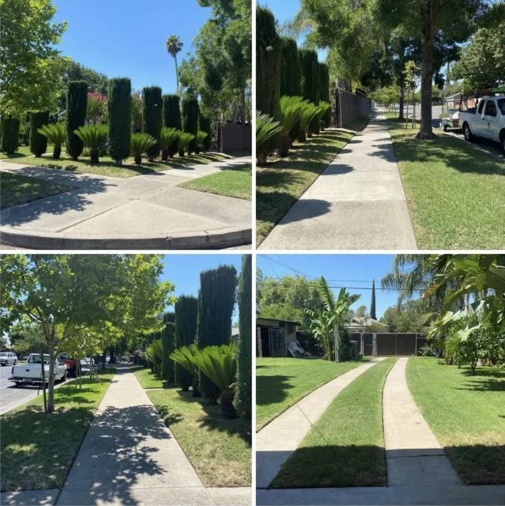 Trusted lawn mowing service for beautiful yards across Merced, CA - Enriquez Lawn Services
