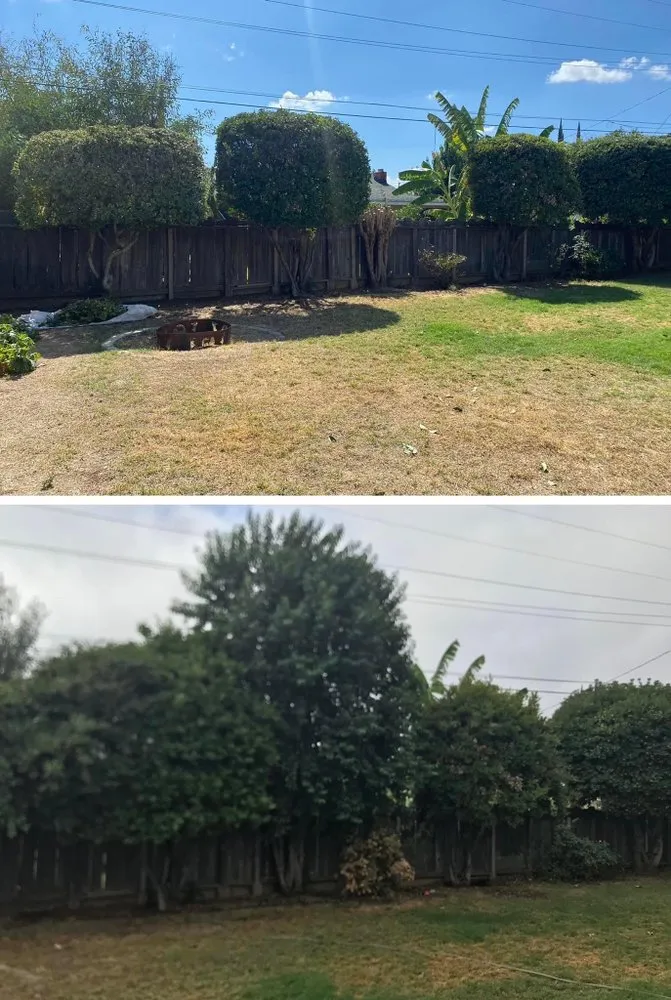 Custom landscaping services experts serving Merced, CA - Enriquez Lawn Services