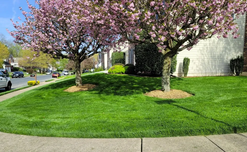 Trusted landscape design for residential properties in Stafford, VA by Enriquez Remodeling & Landscaping