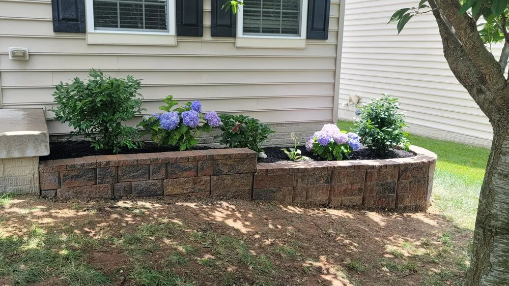 Top-rated yard cleanup service in Stafford, VA by Enriquez Remodeling & Landscaping