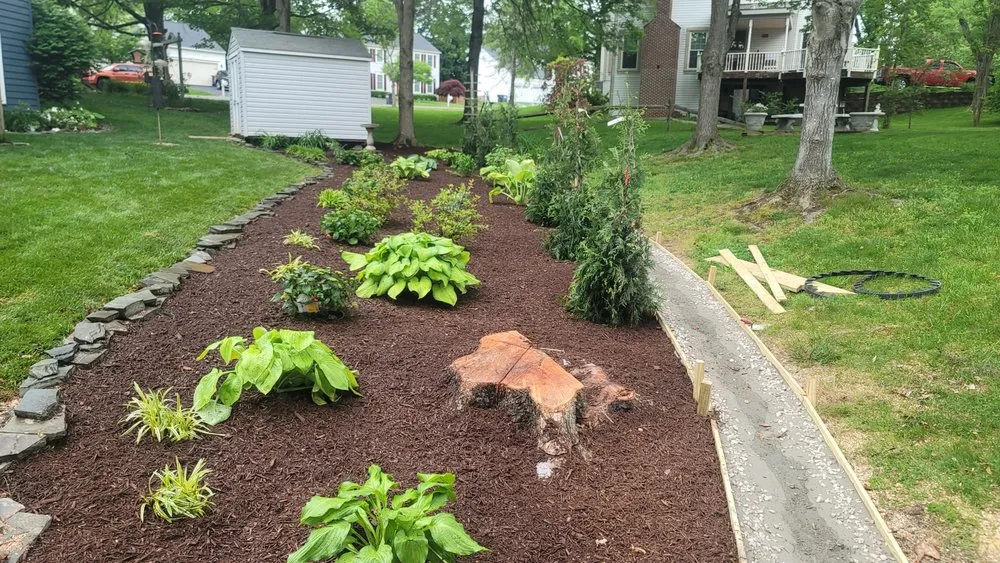 Local lawn care service for homes across Stafford, VA - Enriquez Remodeling & Landscaping