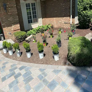 Reliable yard maintenance in Chicago, IL - Enríquez landscaping