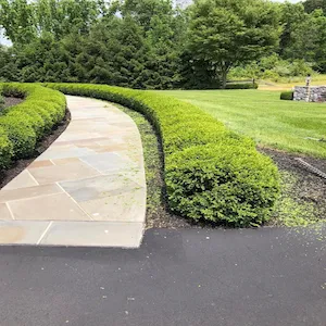 Affordable landscaping services experts serving Chicago, IL - Enríquez landscaping