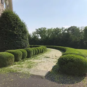 Custom yard cleanup service in Chicago, IL - Enríquez landscaping