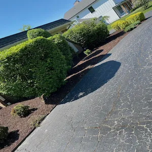 Enríquez landscaping Logo