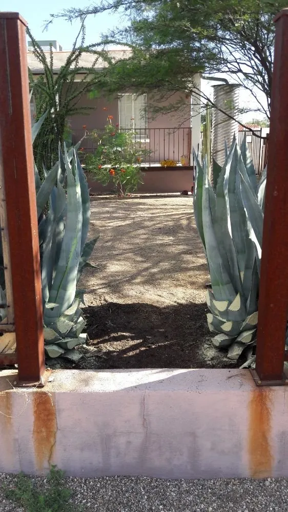 Top-rated lawn mowing service for homes in Tucson, AZ by Ensō Landscaping