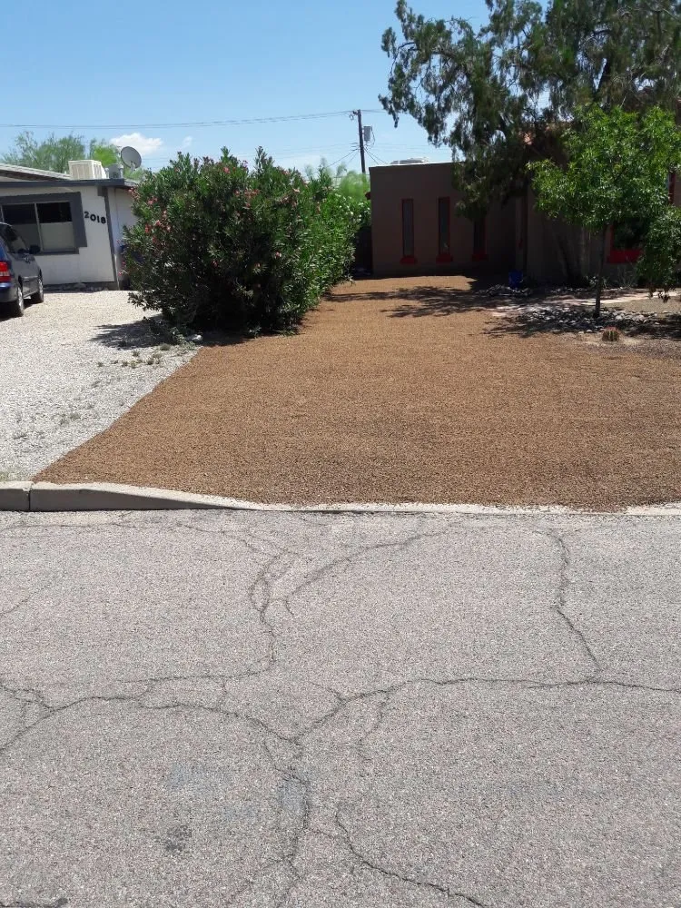 Reliable landscaping services in Tucson, AZ - Ensō Landscaping