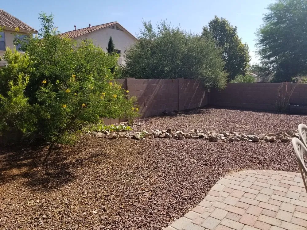 Top-rated landscape installation for outdoor upgrades in Tucson, AZ by Ensō Landscaping