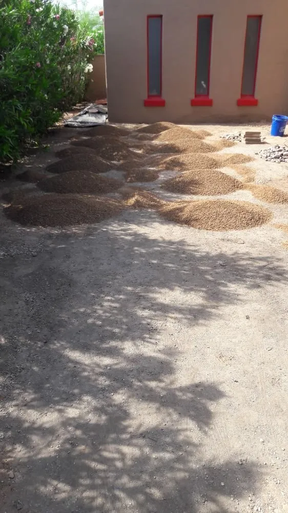 Trusted residential landscaping in Tucson, AZ by Ensō Landscaping