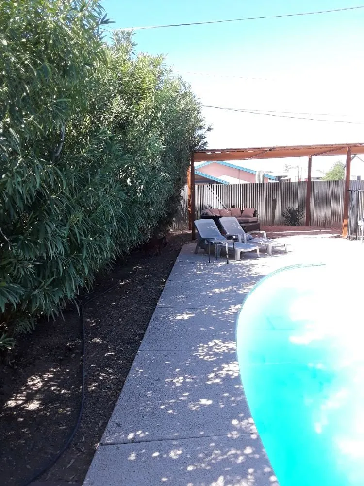 Professional residential landscaping for residential properties across Tucson, AZ - Ensō Landscaping