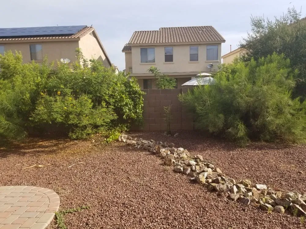 Affordable garden landscaping for year-round maintenance in Tucson, AZ by Ensō Landscaping