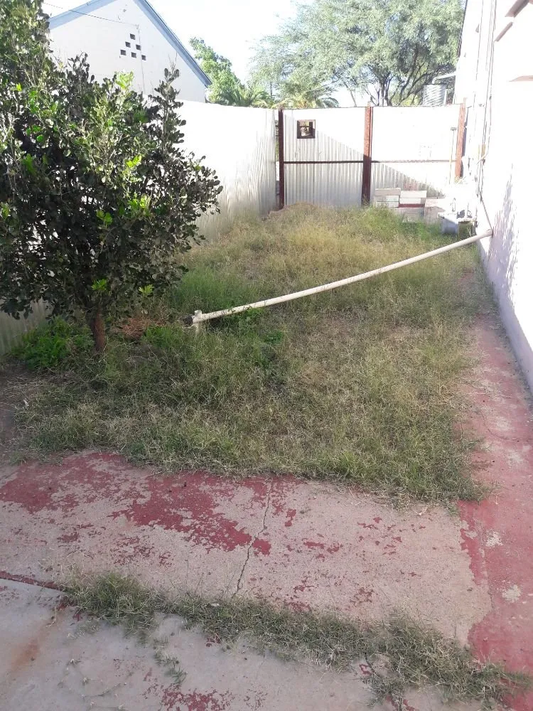 Custom yard maintenance in Tucson, AZ by Ensō Landscaping