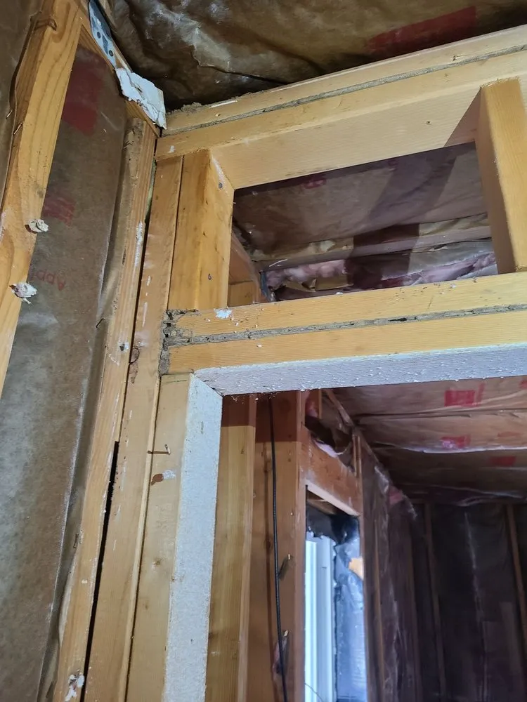 Local lawn care service in Cantonment, FL - EnSec Pest & Lawn