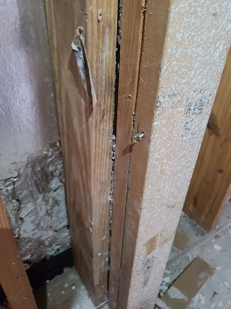 Professional landscape design for year-round maintenance across Cantonment, FL - EnSec Pest & Lawn