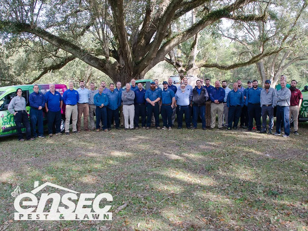 Local lawn mowing service experts serving Mobile, AL - EnSec Pest & Lawn