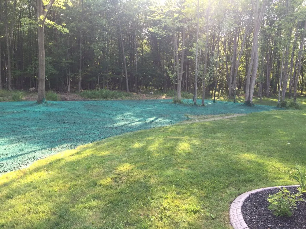 Top-rated yard maintenance for year-round maintenance across Hamburg, NY - Enser’s Lawn & Landscaping